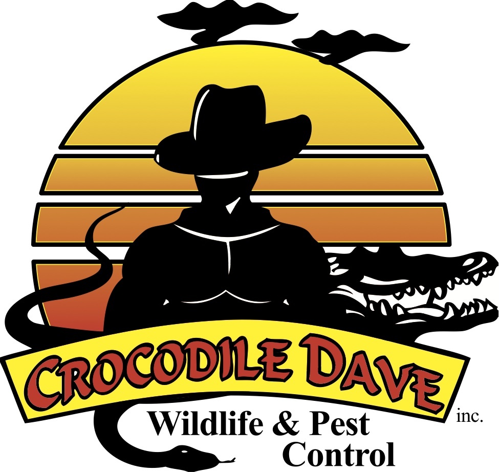 Crocodile Dave Logo